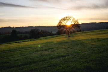 Haute Ardenne - Belgique - Trekking et Voyage-54