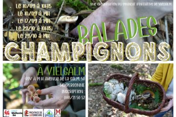 balades_champignons_23