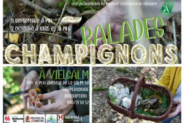 balades_champignons_25