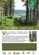 foret_brochure