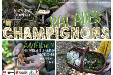 balades_champignons_22