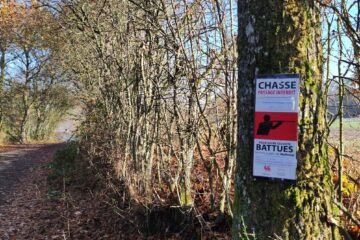 chasse_24